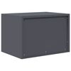 vidaXL Armoire de rangement Anthracite 60 x 40 x 40 cm Acier