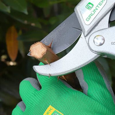 GRÜNTEK Ciseaux de jardin CACATOES avec cliquet pivotant 215 mm