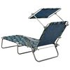 vidaXL Chaise longue avec auvent acier motif de feuilles