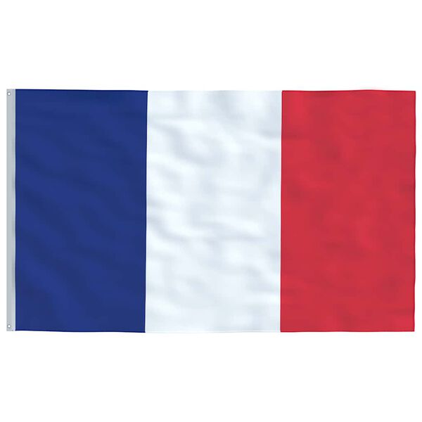 vidaXL Drapeau de la France et m&acirc;t 5,5 m Aluminium