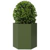 vidaXL Jardinière vert olive hexagone 46x40x45 cm acier