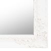 vidaXL Miroir sur pied Blanc 40x160 cm