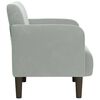 vidaXL Fauteuil avec accoudoirs gris clair 54 cm velours