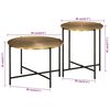 vidaXL Tables basses lot de 2 laiton et noir métal