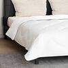 vidaXL Couette avec Oreillers 3 pcs Blanc Microfibre et Plumes D'oie