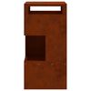 vidaXL Braise Marron 50 x 50 x 100 cm Acier