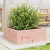 vidaXL Jardini&egrave;re 60x60x23 cm bois massif douglas