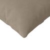 vidaXL Coussins de canap&eacute; 2 pcs Taupe 120 x 40 cm tissu