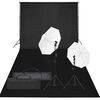 vidaXL Kit de studio photo avec &eacute;clairage et toile de fond