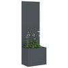 vidaXL &Eacute;cran de confidentialit&eacute; de jardin Anthracite 50 x 140 cm
