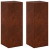 vidaXL Support de Plante 2 pcs Rouill&eacute; 30 x 30 x 80 cm Acier patin&eacute;