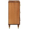 vidaXL Armoire lat&eacute;rale 60x33x75 cm bois massif de manguier