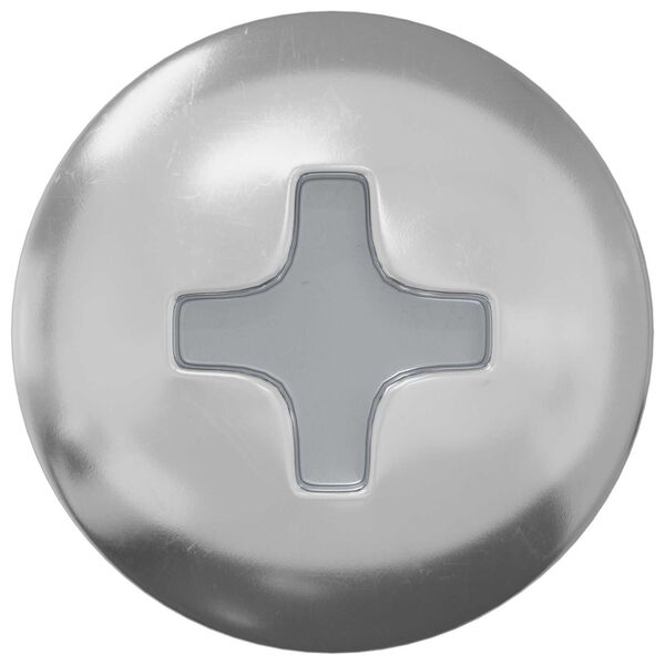 vidaXL Clou auto-perceur 12 pcs Zinc&eacute; 4 x 20 mm Acier