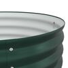 vidaXL Jardinière surélevée Vert 160 x 80 x 44 cm Acier