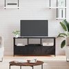 vidaXL Meuble TV noir 102x33x45 cm bois d'ing&eacute;nierie et fer