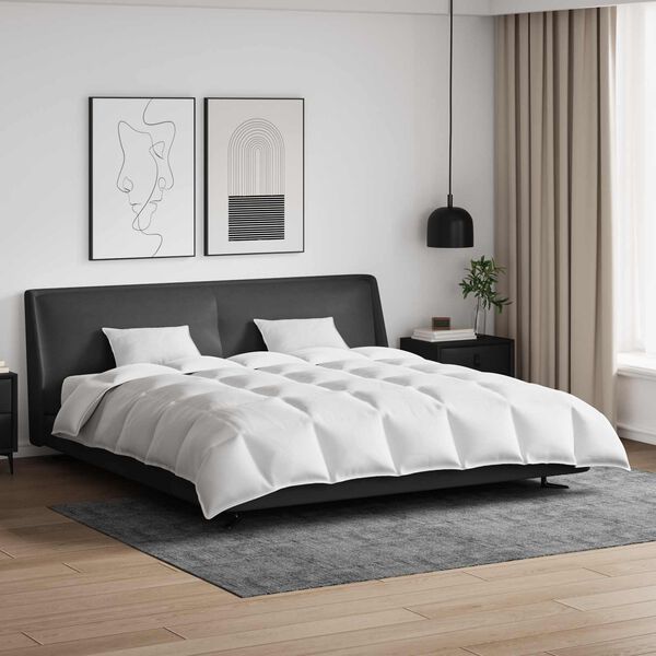 vidaXL Ensemble de Duvet avec oreiller 3 pcs Blanc Plume de canard