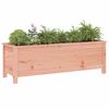 vidaXL Lit sur&eacute;lev&eacute; de jardin 119,5x40x39 cm bois douglas massif