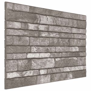 vidaXL Panneaux muraux 10 pc 100 x 50 cm Gris fonc&eacute; Mousse EPS