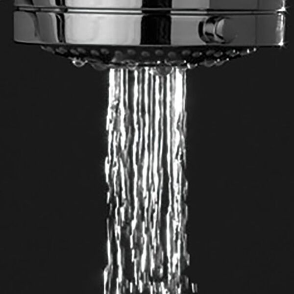 Tiger Pomme de douche Rosas Chrome