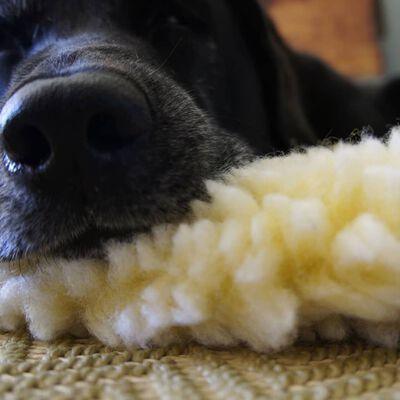 HuggleHounds Tapis pour chiens Polaire XXL Blanc laine