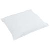 vidaXL Oreiller avec oreiller 2 pcs Blanc 65 x 65 cm Plume