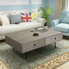vidaXL Table basse 100x60x35 cm gris