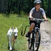 SPRINGER Kit d'exercice de v&eacute;lo pour chiens