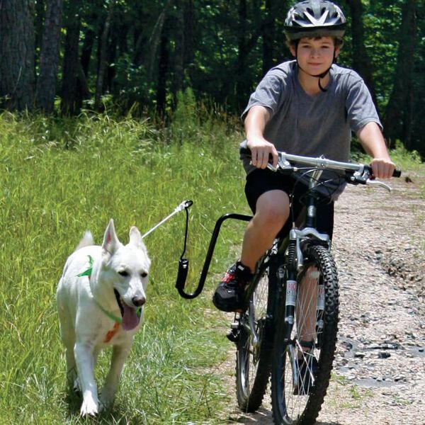 SPRINGER Kit d'exercice de v&eacute;lo pour chiens