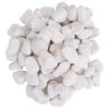 vidaXL Galets polis 25 kg blanc 2-5 cm