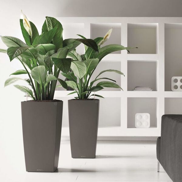 LECHUZA Jardini&egrave;re Cubico 30 ALL-IN-ONE Charbon 18184