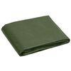 vidaXL Bâche 180 g/m² 3x4 m Vert PEHD