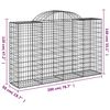 vidaXL Paniers à gabions arqués 40 pcs 200x50x120/140 cm Fer galvanisé
