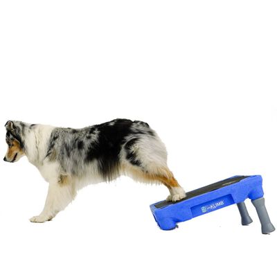 BLUE-9 Tapis de traction pour le système de dressage de chiens KLIMB