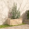 vidaXL Jardinières 2 pcs 100x50x50 cm bois de pin massif
