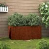 vidaXL Jardini&egrave;re 62x30x29 cm acier corten