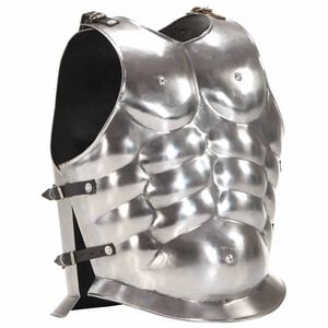 vidaXL Cuirasse d'armure corporelle de soldat romain GN Argent&eacute; Acier