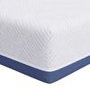 vidaXL Matelas Blanc et Bleu 100 x 200 cm Tissu jacquard