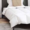 vidaXL Duvet d'été simple avec oreiller 2 pcs Blanc Plume de canard