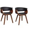 Black_and_dark_brown