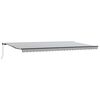 vidaXL Auvent manuel r&eacute;tractable anthracite et blanc 600x300 cm