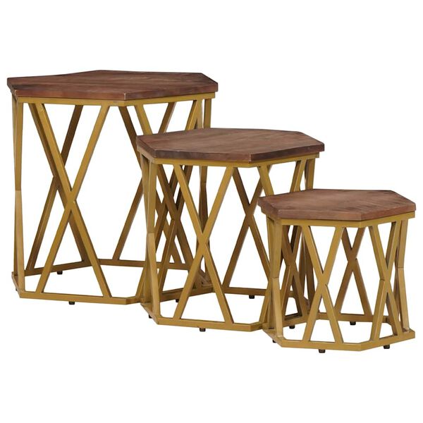 vidaXL Tables basses Marron 55 x 55 x 50 cm Bois de mangue massif