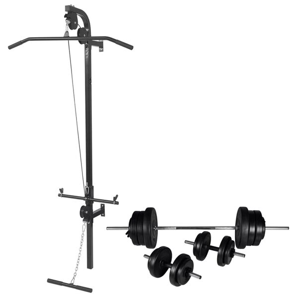 vidaXL Tour de musculation murale avec jeu d'haltères et poids 60,5 kg