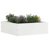 vidaXL Bordure de Pelouse Blanc 40 x 40 x 13 cm Acier