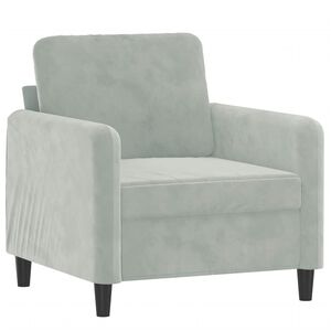 vidaXL Fauteuil Gris clair 60 cm Velours