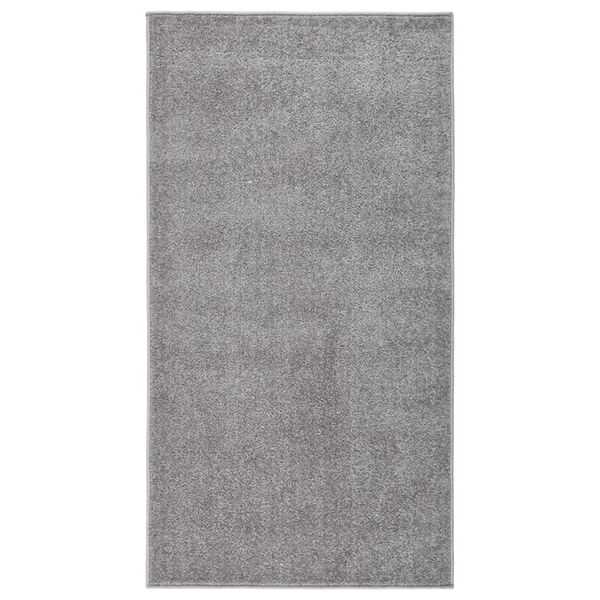 vidaXL Tapis à poils courts 80x150 cm Gris