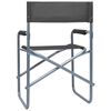vidaXL Chaises de metteur en sc&egrave;ne lot de 2 Acier Gris