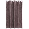 vidaXL Rideaux en velours 2 pcs Marron 175 x 140 cm Velours