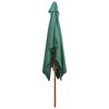 vidaXL Parasol avec poteau en bois 200 x 300 cm Vert