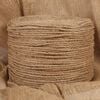 vidaXL Corde de jute 100 m de long 4 mm d'&eacute;paisseur