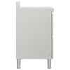 vidaXL Armoire de cuisine commerciale avec 2 tiroirs 50 x 60 x 96 cm